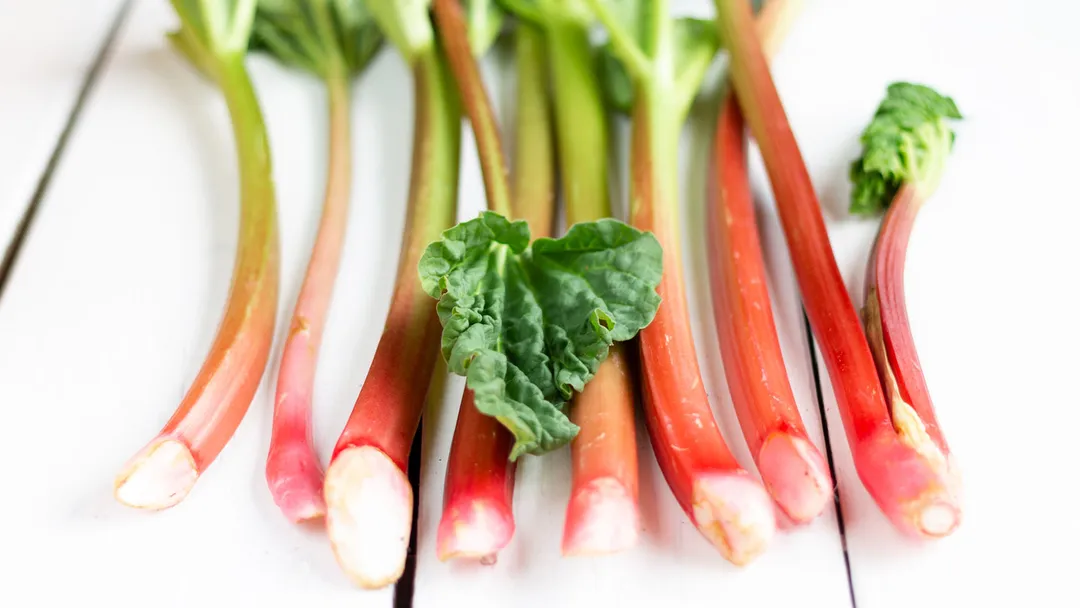 8 Plant-Based Superfoods for a Refreshing and Healthy Spring