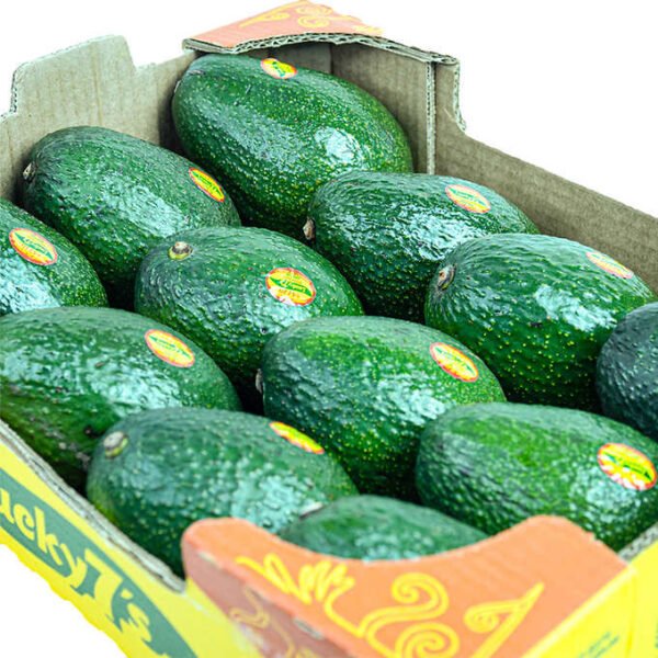 Lucky 7's Fresh Hass Avocados 297 g (10.5 oz) × 12 units - Image 2